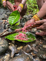 /album/fotogaleria-mentawai-ostrov-ludozrutov-zajazd-vy-a-my/mentaway-siberut-zajazd-jamajkanita-4-jpg/